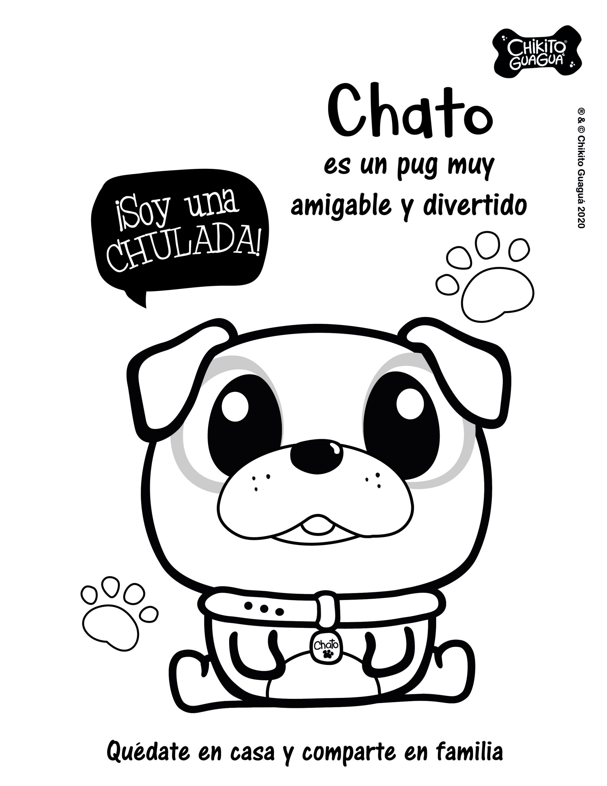 CHIKITO-02