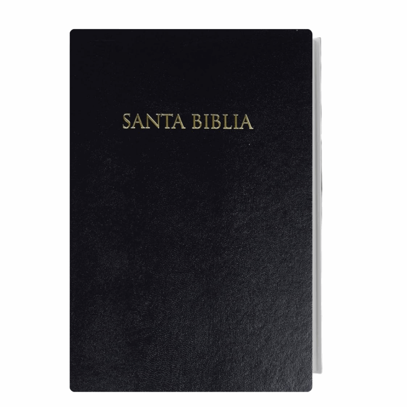 Biblia Vinyl Negra (RVR 1960) RE-INGRESO