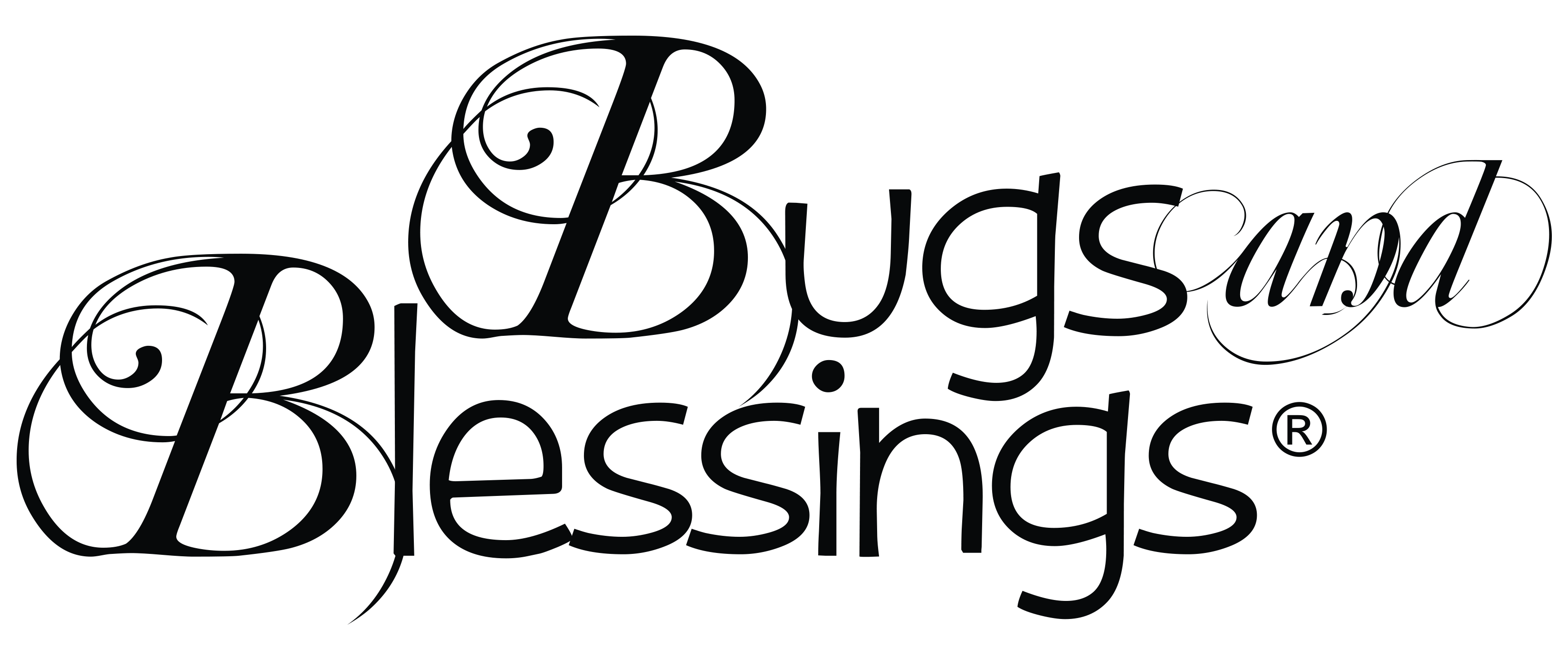 Bugs and Blessings