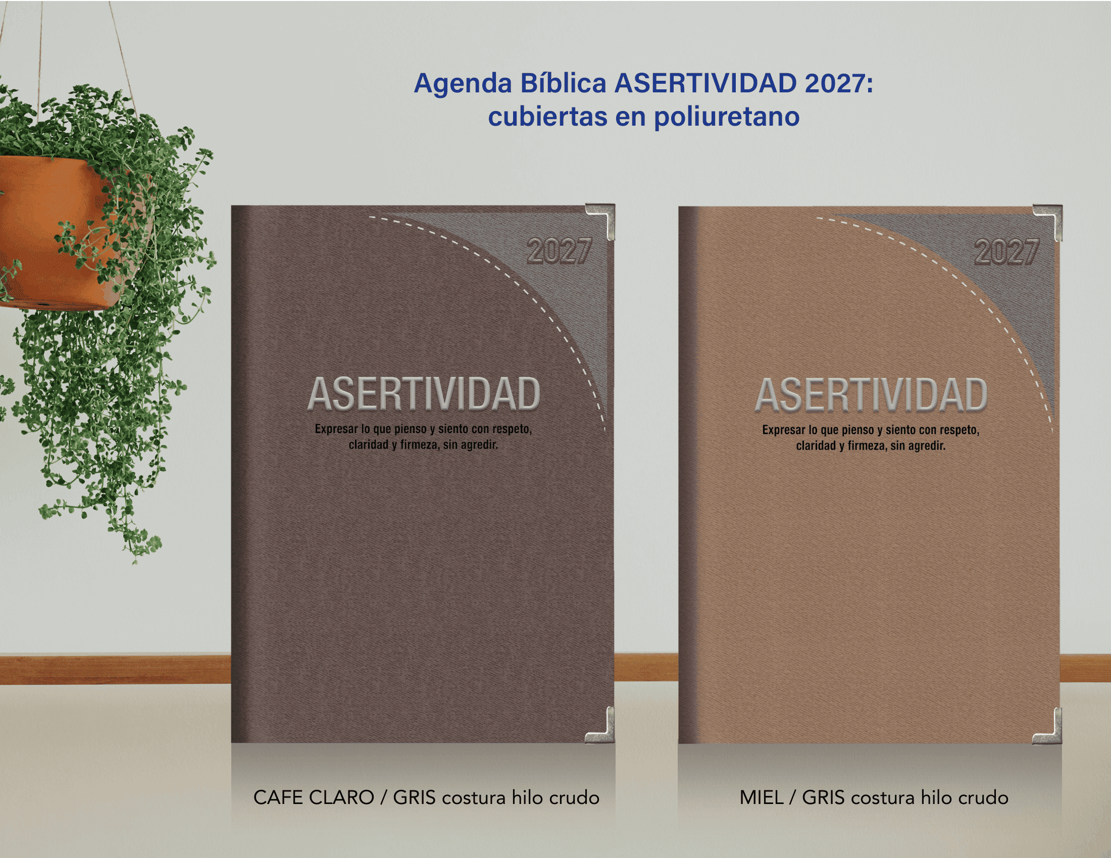 PRESENTACIÓN ASERTIVIDAD 2027-04
