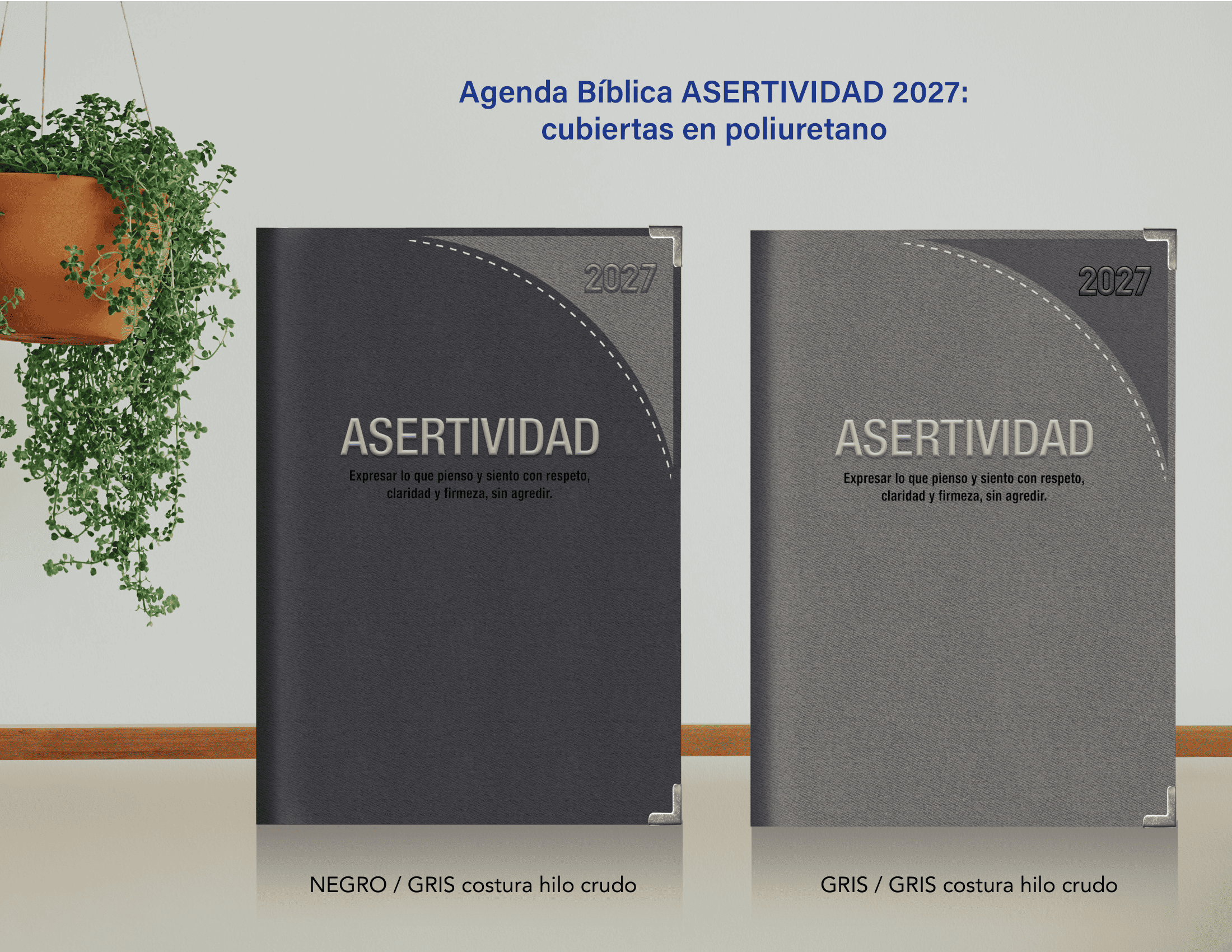 PRESENTACIÓN ASERTIVIDAD 2027-05