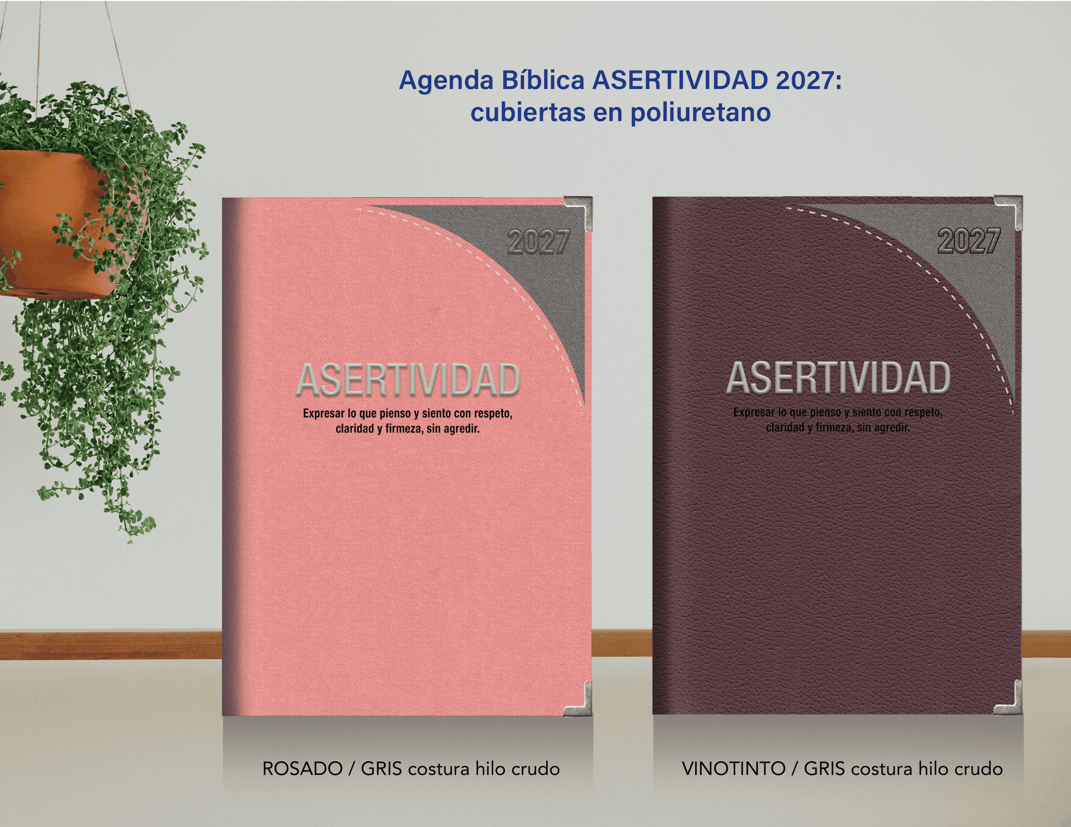 PRESENTACIÓN ASERTIVIDAD 2027-06