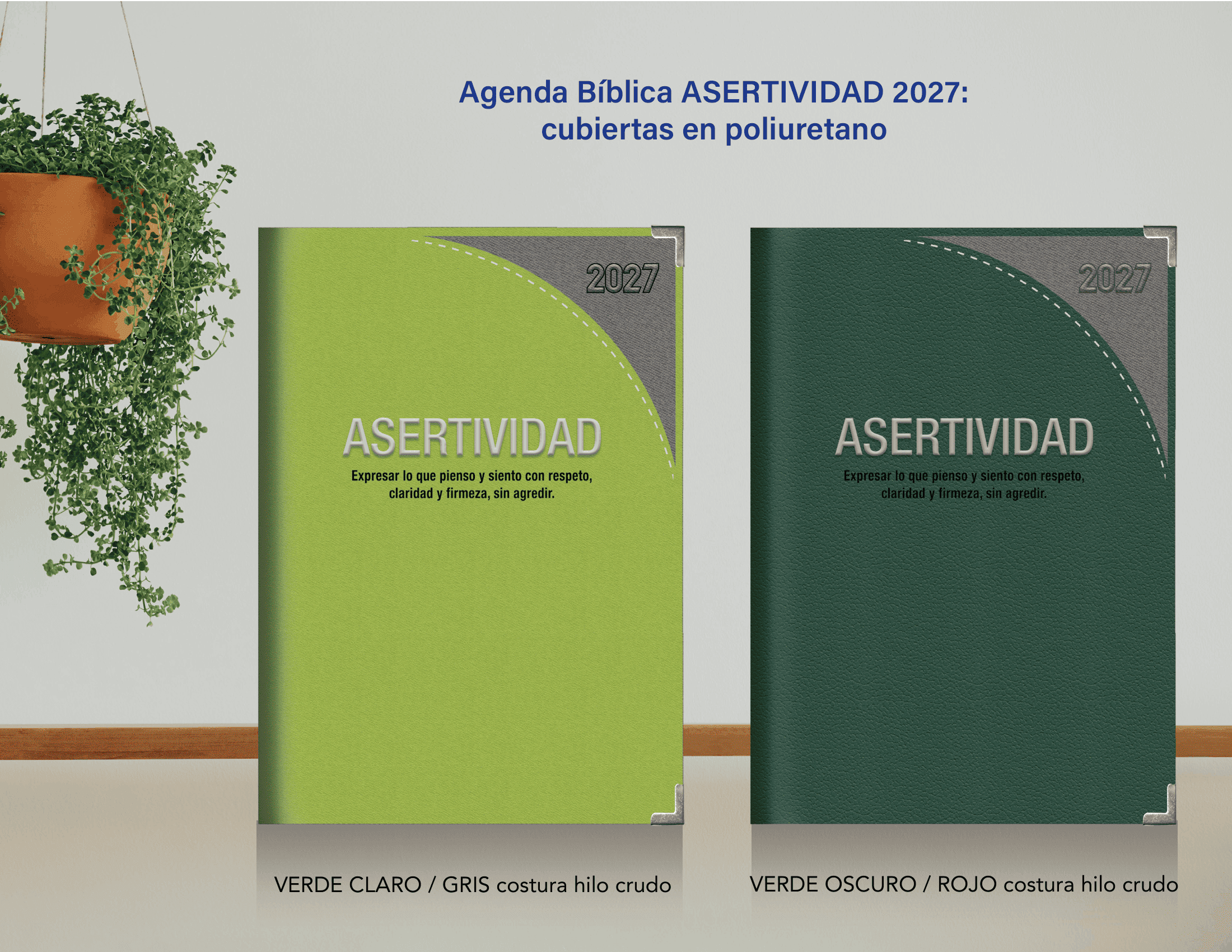 PRESENTACIÓN ASERTIVIDAD 2027-07